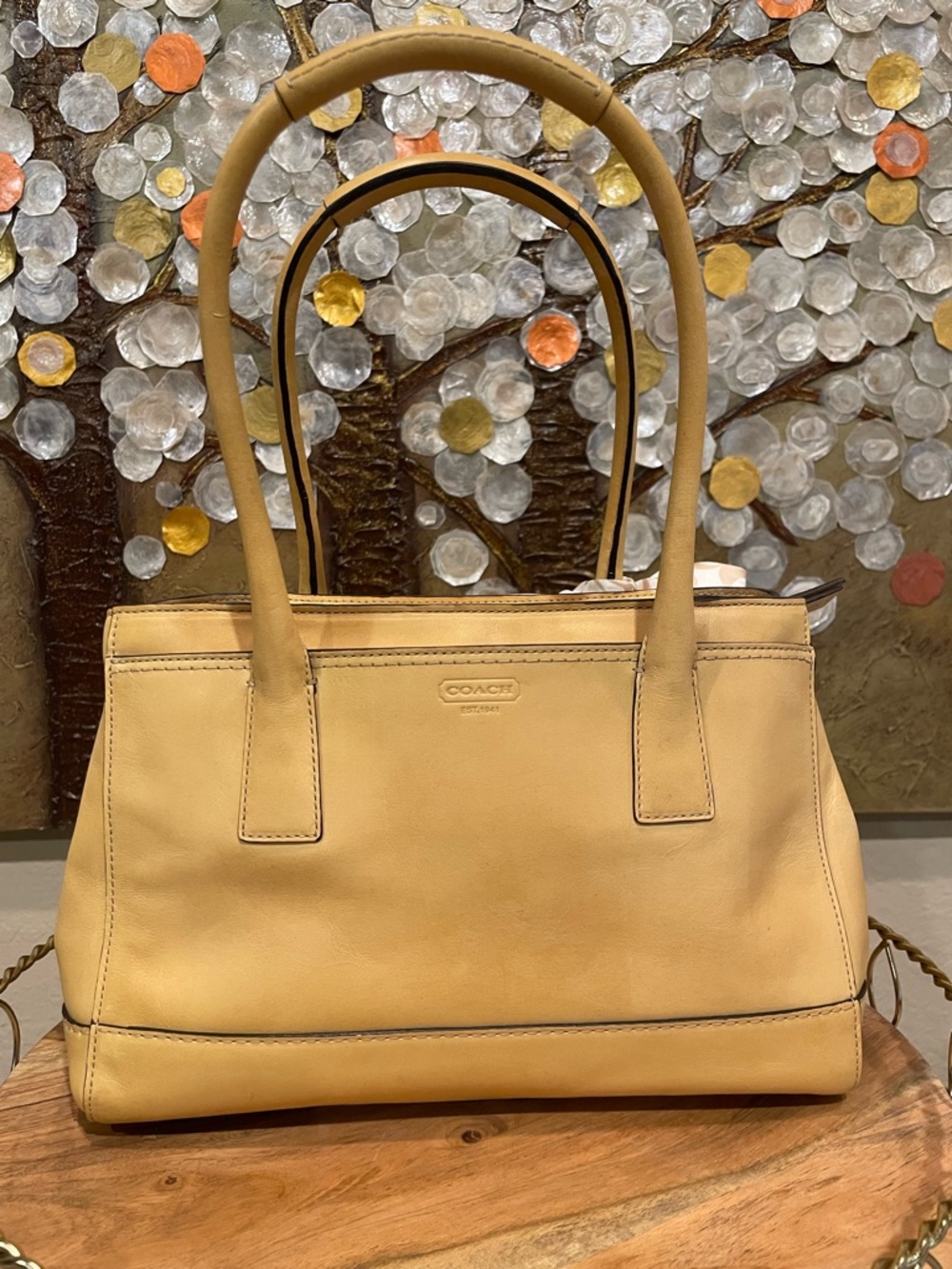 Coach Y2K Hampton Madeline Carryall (F13675). - Picture 4 of 16